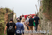 Ischia, Andar per Cantine: Frassitelli al tramonto 2