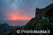 Ischia, Andar per Cantine: Frassitelli al tramonto 27