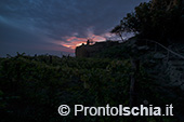 Ischia, Andar per Cantine: Frassitelli al tramonto 35