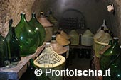 Andar per cantine 2023: Percorso Frassitelli 2